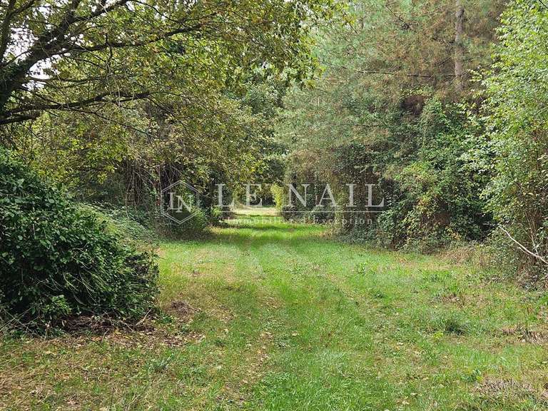 Terrain Houssay - 140m²