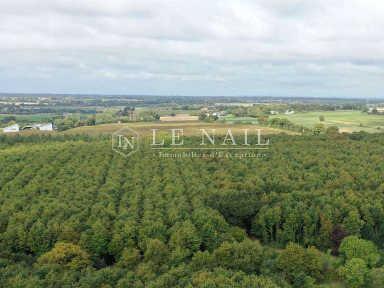 Land Houssay - 491988m²