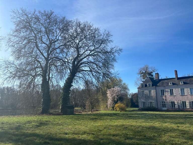 Château Huisseau-sur-Mauves - 11 chambres - 900m²