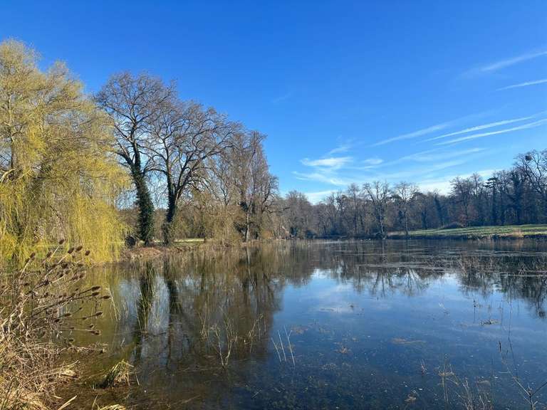 Château Huisseau-sur-Mauves - 11 chambres - 900m²
