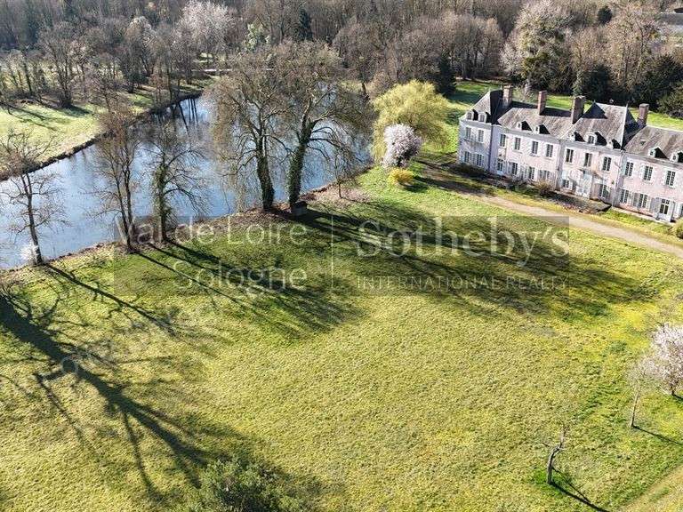 Château Huisseau-sur-Mauves - 11 chambres - 900m²