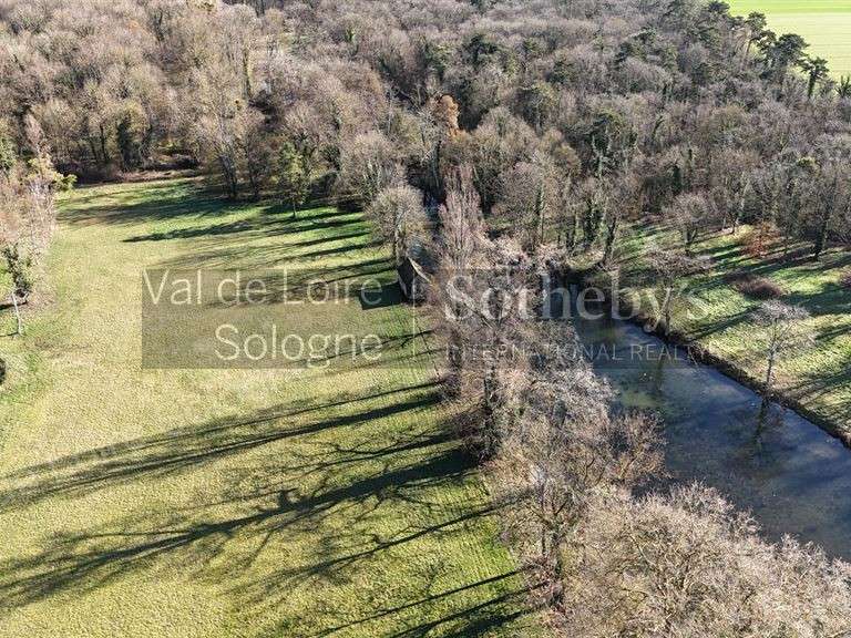 Château Huisseau-sur-Mauves - 11 chambres - 900m²