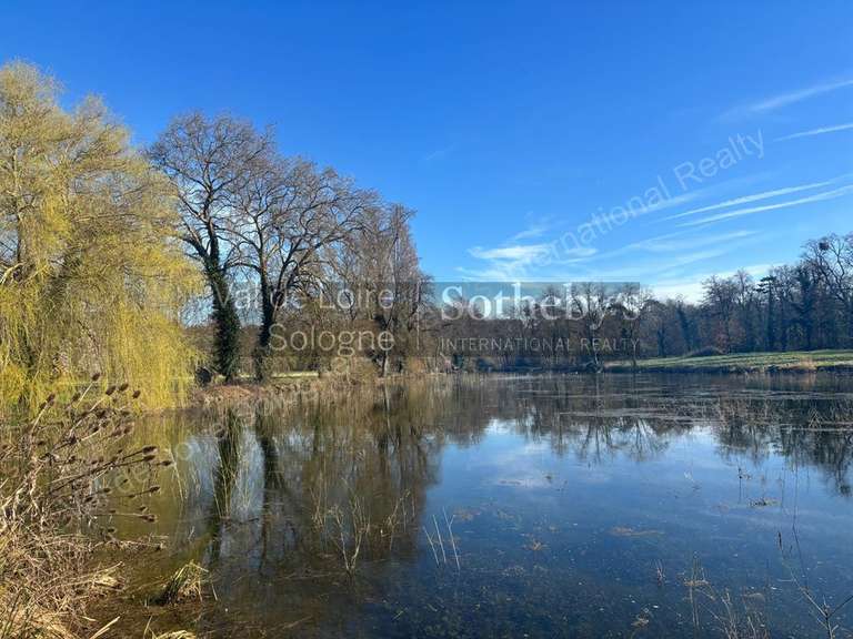 Château Huisseau-sur-Mauves - 11 chambres - 900m²