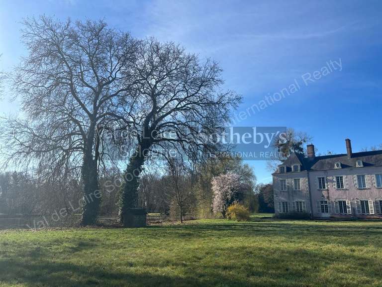 Château Huisseau-sur-Mauves - 11 chambres - 900m²