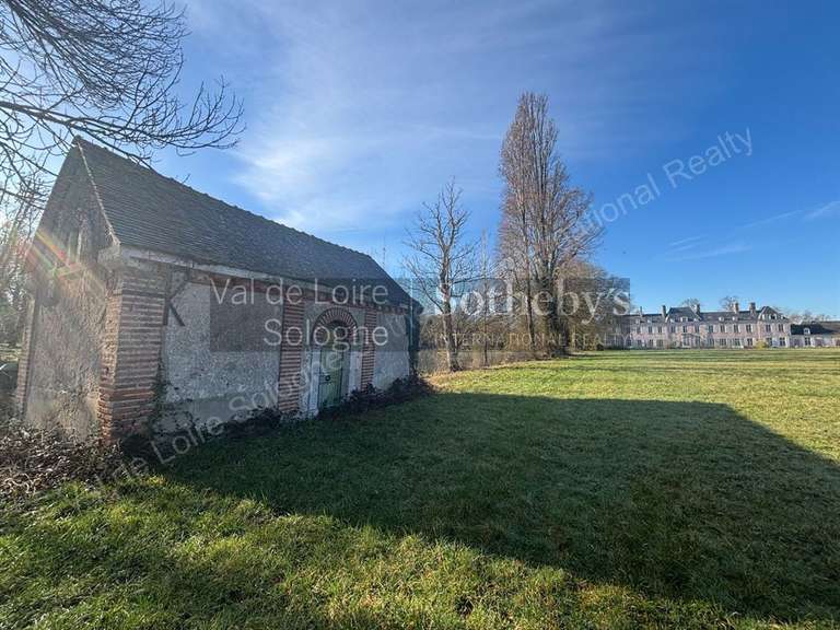 Château Huisseau-sur-Mauves - 11 chambres - 900m²