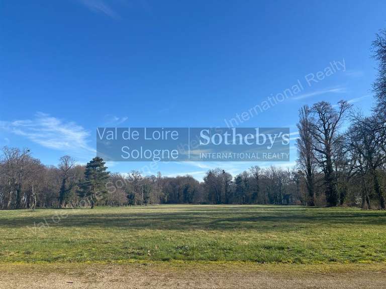 Château Huisseau-sur-Mauves - 11 chambres - 900m²