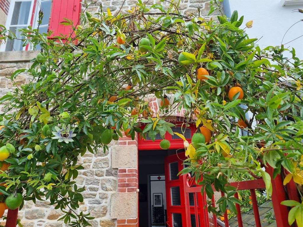 Maison Île-aux-Moines