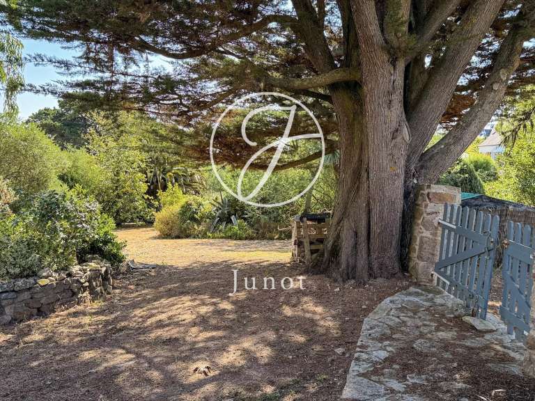 Maison Île-d'Houat - 3 chambres - 145m²