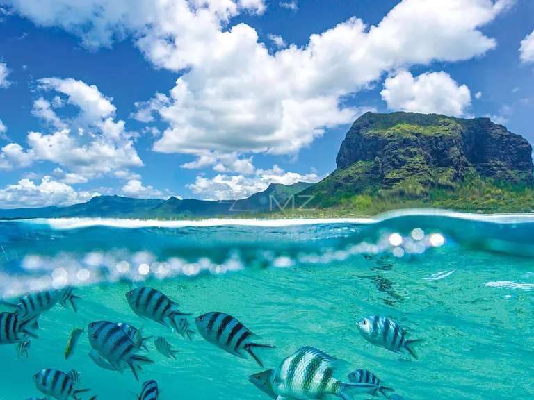 Villa with Sea view Mauritius - 4 bedrooms - 481m²