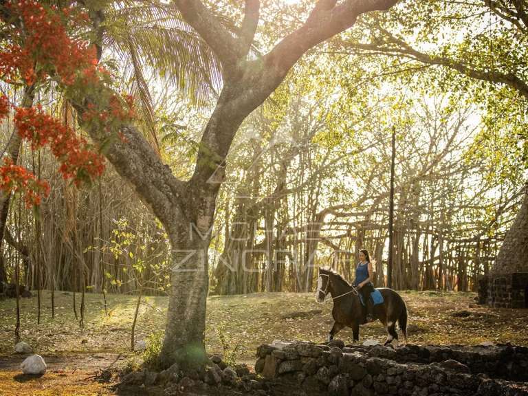 Villa Maurice - 5 chambres - 850m²