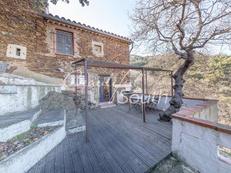 Maison Ille-sur-Têt - 5 chambres - 160m²