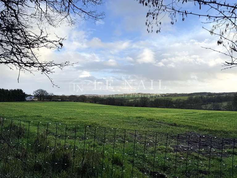 Propriété Ingrandes-le-Fresne-sur-Loire - 5 chambres - 255m²