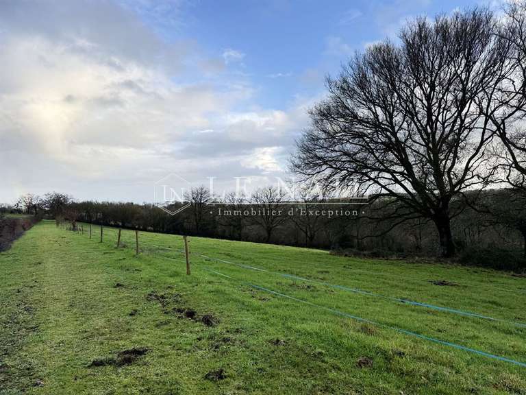 Propriété Ingrandes-le-Fresne-sur-Loire - 5 chambres - 255m²