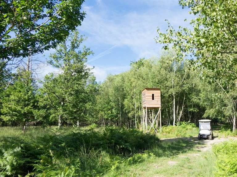 Maison Isdes - 10 chambres - 710m²