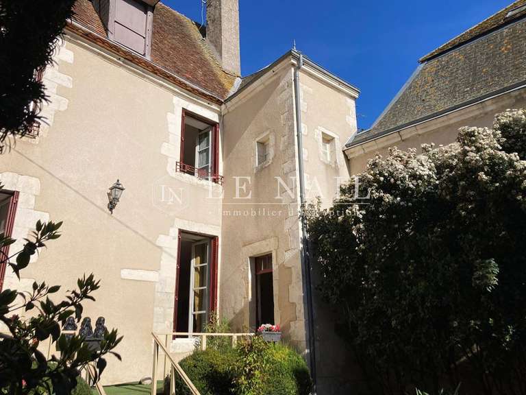 Hôtel particulier Issoudun - 6 chambres - 318m²