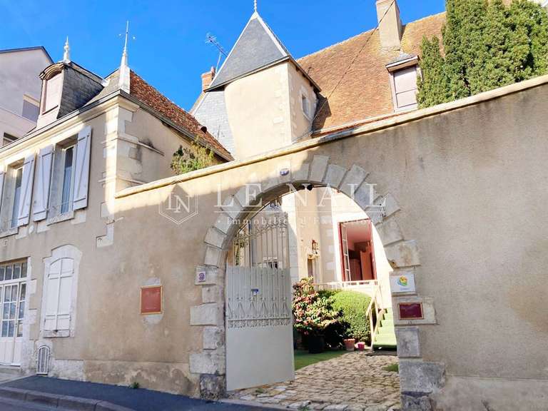 Hôtel particulier Issoudun - 6 chambres - 318m²
