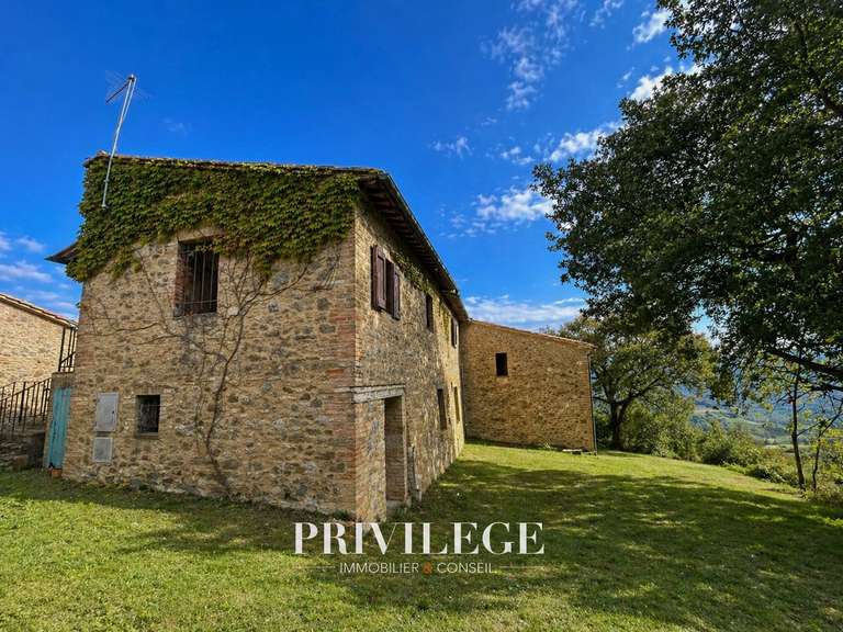 Maison Arezzo - 10 chambres - 800m²