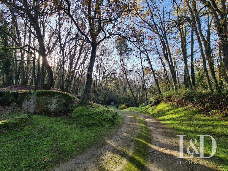 House Janville-sur-Juine - 5 bedrooms - 303m²