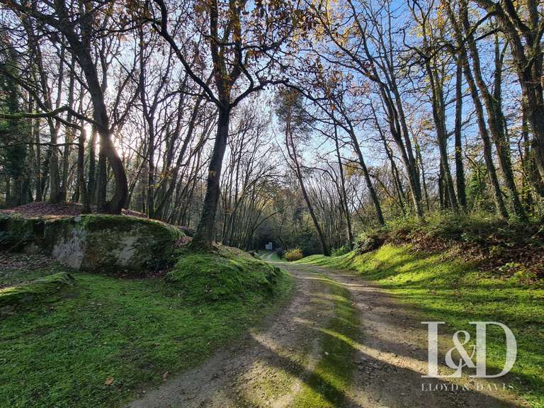 Maison Janville-sur-Juine - 5 chambres - 303m²