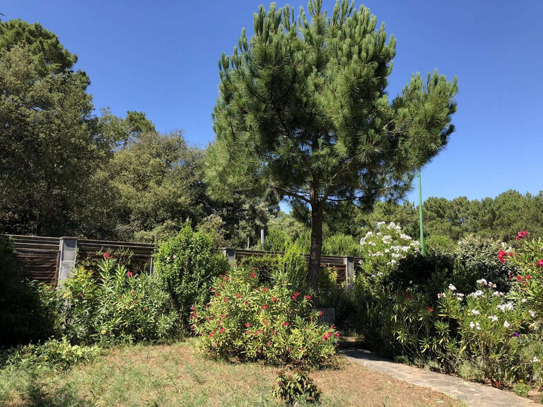 House Jard-sur-Mer - 4 bedrooms