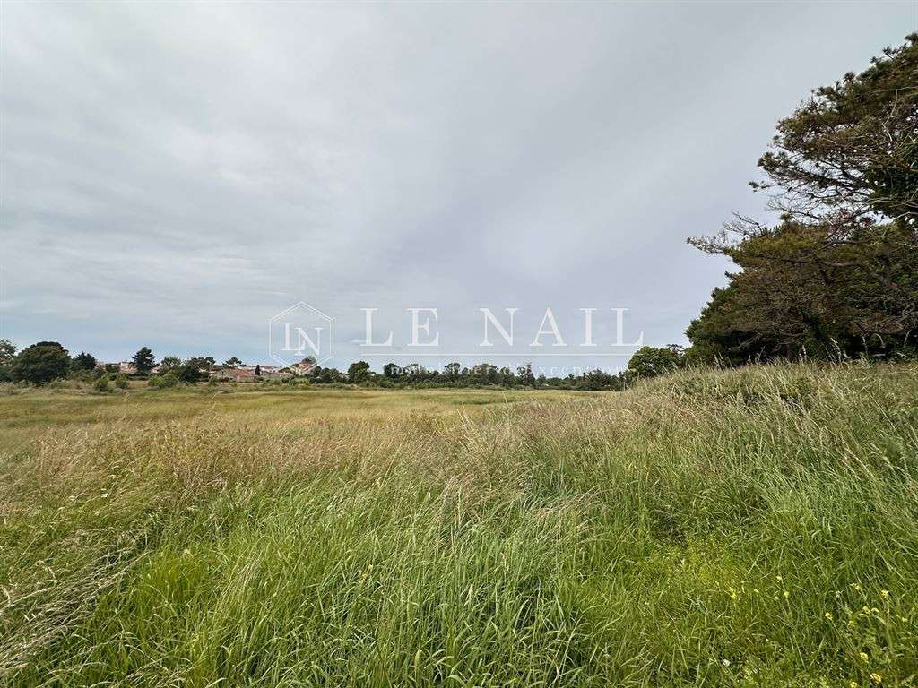 Property Jard-sur-Mer