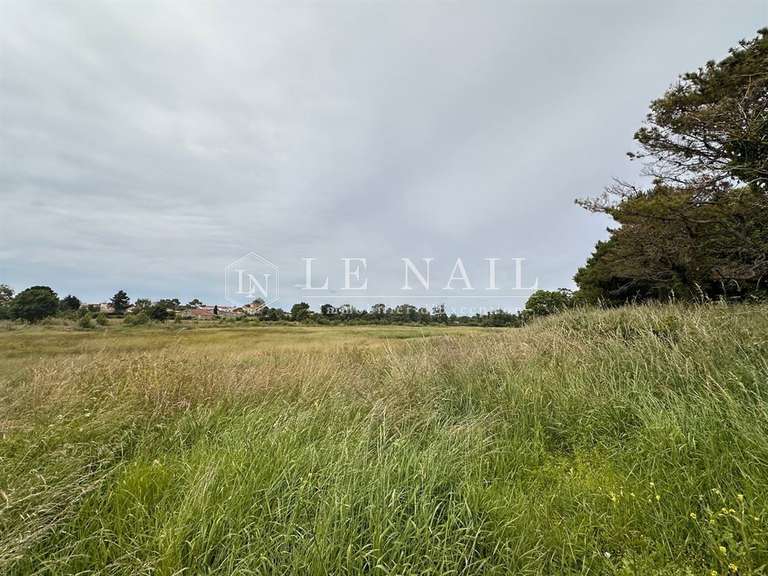 Propriété Jard-sur-Mer - 5 chambres - 282m²