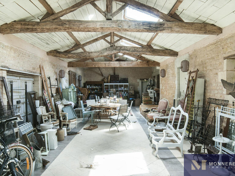 Maison Jazennes - 4 chambres - 600m²