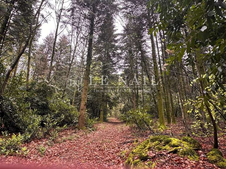 Château Josselin - 9 chambres - 750m²