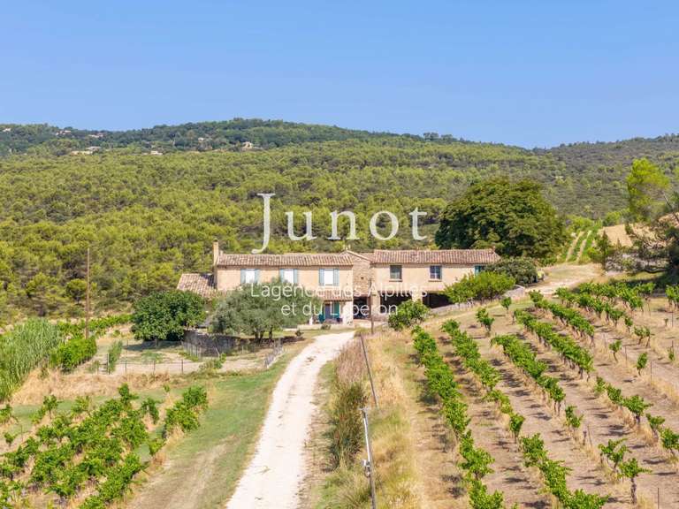 Domaine viticole Joucas - 10 chambres - 73000m²
