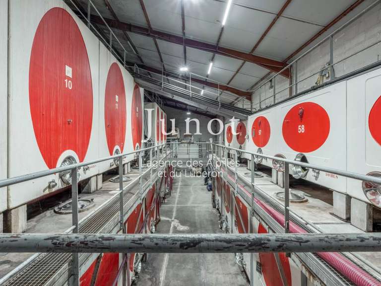 Domaine viticole Joucas - 10 chambres - 73000m²