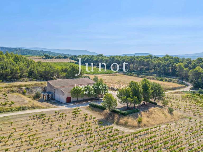 Domaine viticole Joucas - 10 chambres - 73000m²