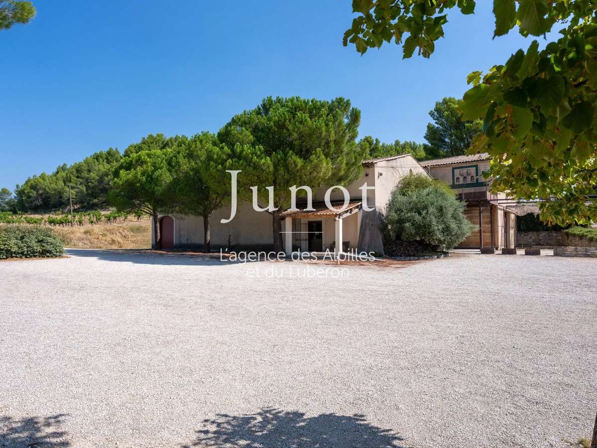 Domaine viticole Joucas