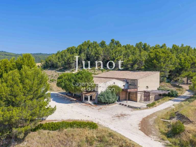 Domaine viticole Joucas - 10 chambres - 73000m²