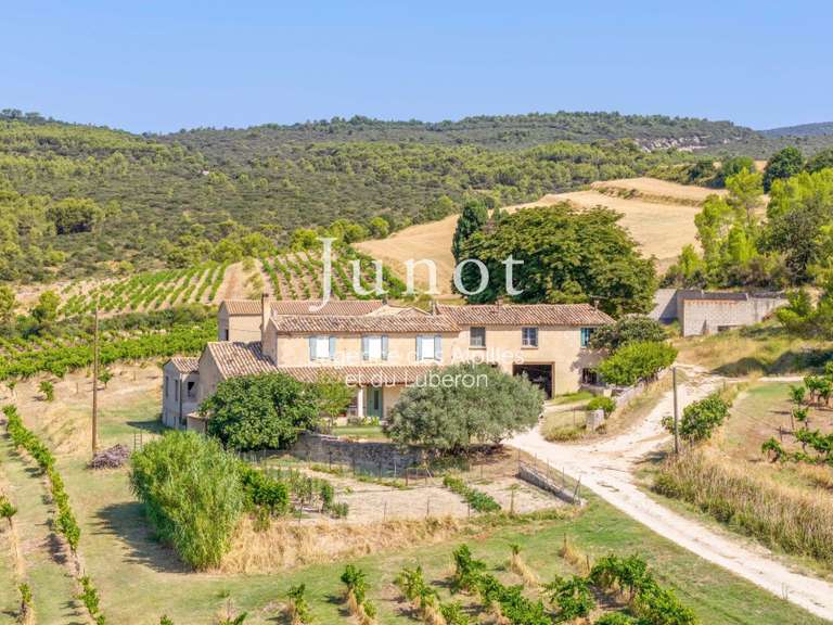Domaine viticole Joucas - 10 chambres - 73000m²