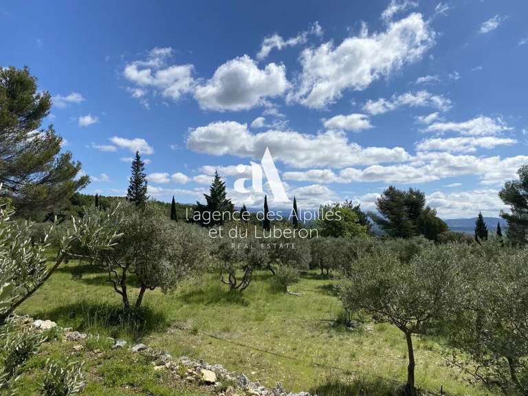 House Joucas - 4 bedrooms - 6300m²