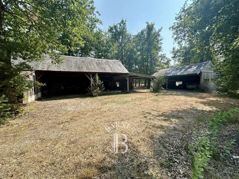 Property Jouy-le-Potier - 3 bedrooms - 270m²