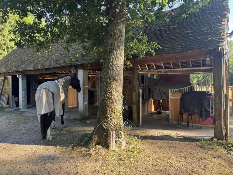 Property Jouy-le-Potier - 3 bedrooms - 270m²