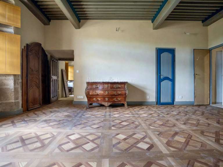 Château Joyeuse - 7 chambres - 550m²