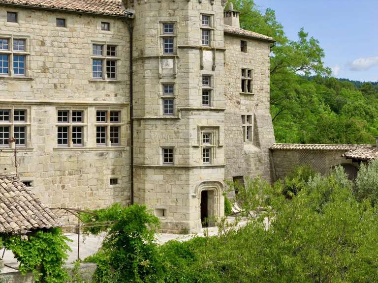 Château Joyeuse - 7 chambres - 550m²