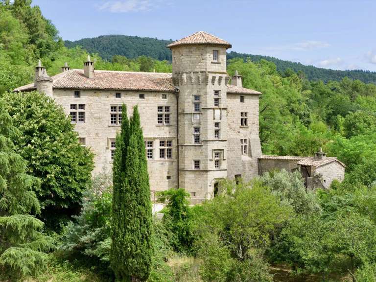 Château Joyeuse - 7 chambres - 550m²