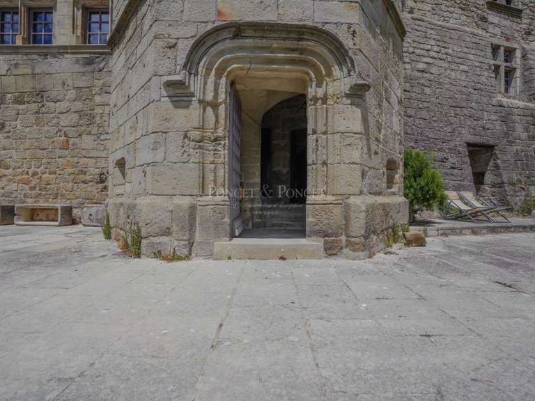 Château Joyeuse - 7 chambres - 550m²