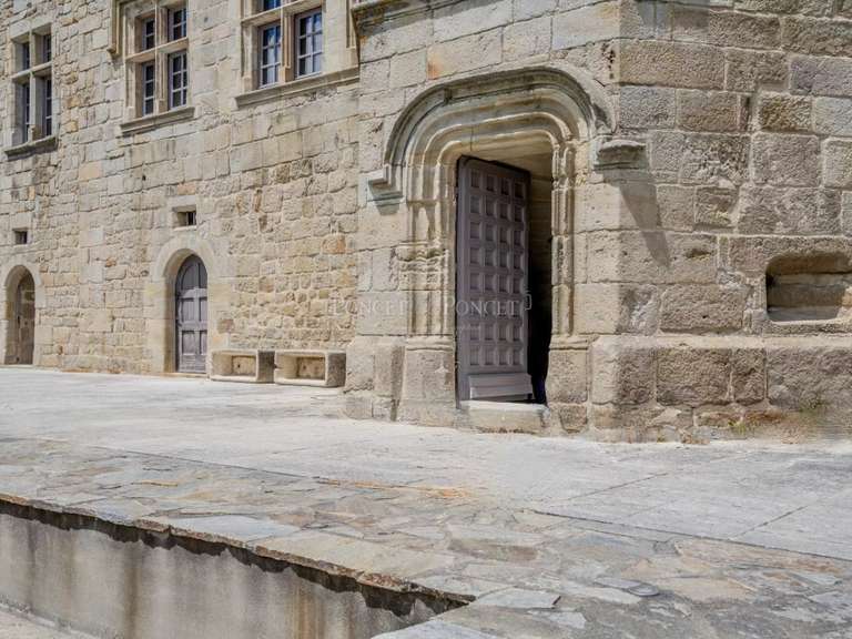 Château Joyeuse - 7 chambres - 550m²