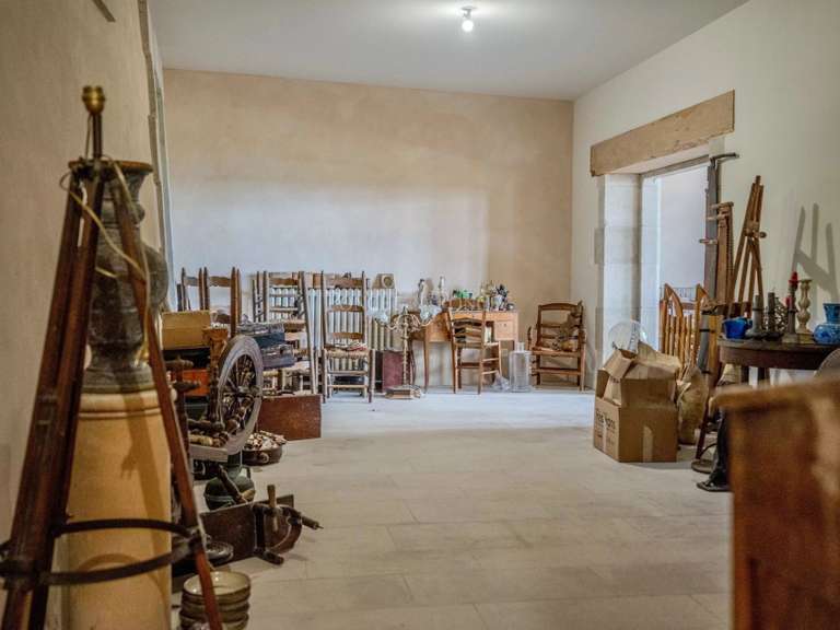 Château Joyeuse - 7 chambres - 550m²