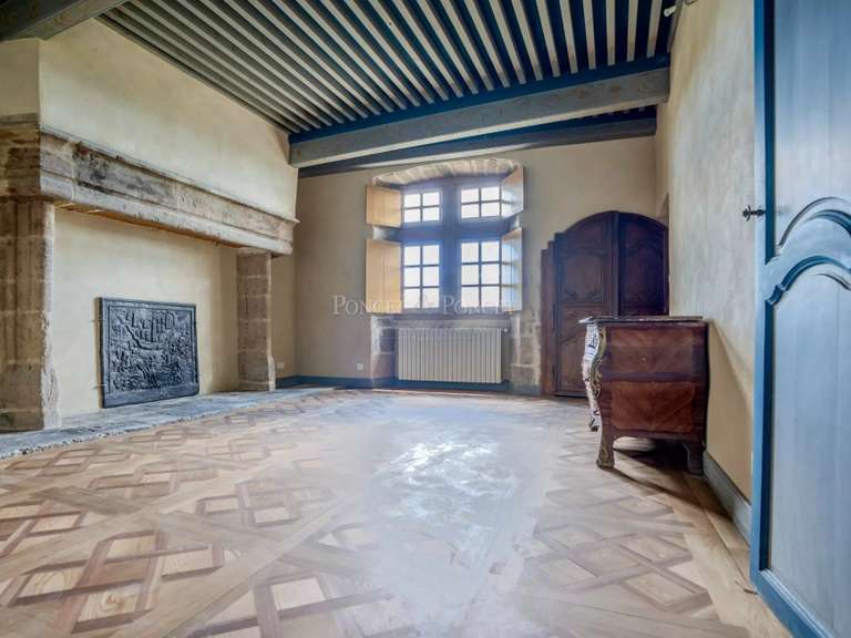 Château Joyeuse - 7 chambres - 550m²