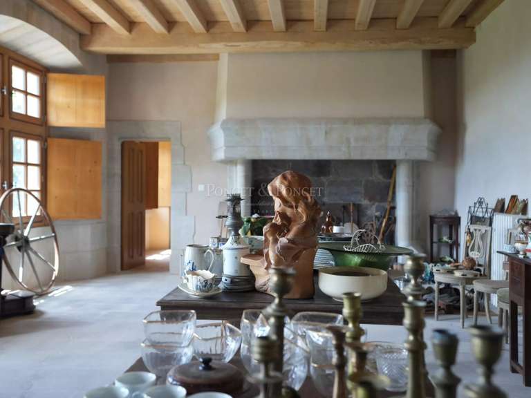 Château Joyeuse - 7 chambres - 550m²