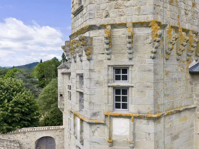 Château Joyeuse - 7 chambres - 550m²