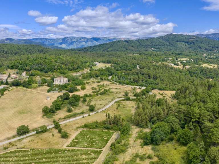 Château Joyeuse - 7 chambres - 550m²