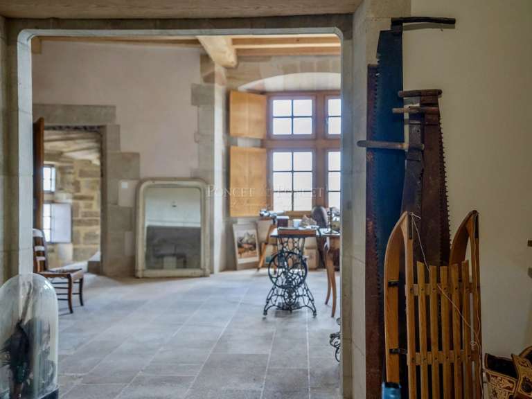 Château Joyeuse - 7 chambres - 550m²