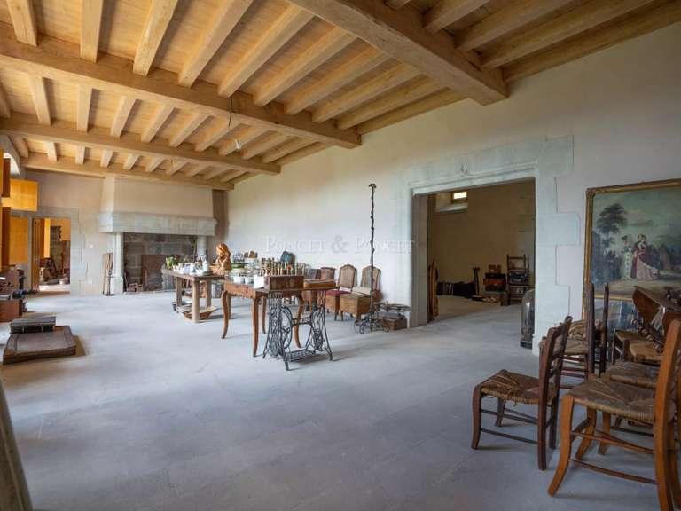Château Joyeuse - 7 chambres - 550m²