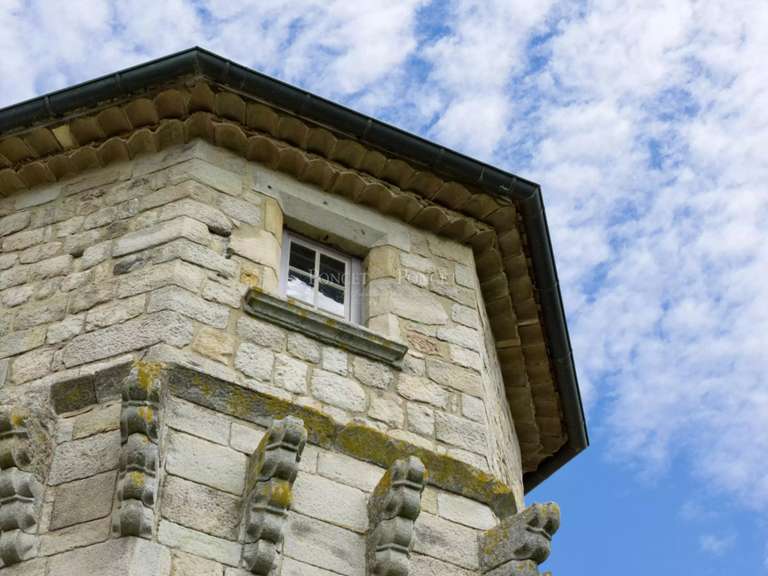 Château Joyeuse - 7 chambres - 550m²